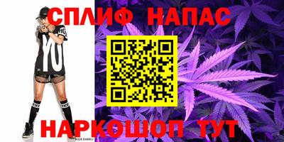 Альфа ПВП Дубна