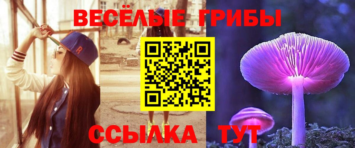 Михайловка  Галлюциногенные грибы Psilocybine cubensis  Вход с VPN  где продают   Псилоцибиновые грибы мицелий 